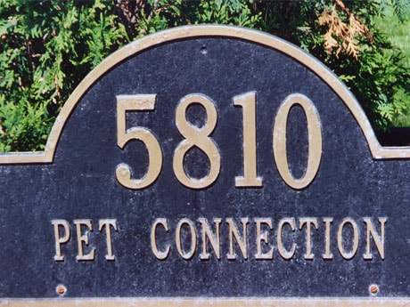 North Shore pet Connection